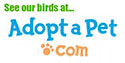 adopt